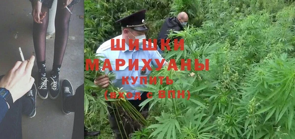 винт Бикин