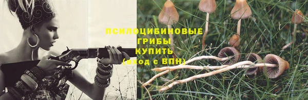 ECSTASY Нефтекумск