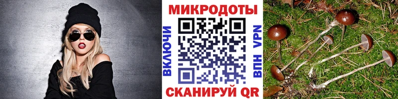 купить наркотик  Нарьян-Мар  Галлюциногенные грибы мухоморы 