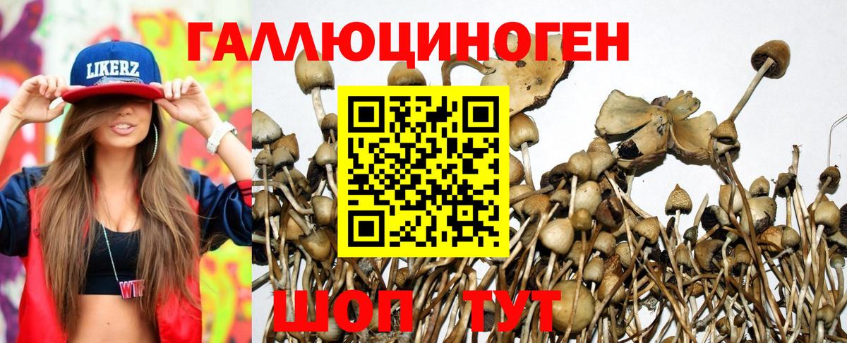 Псилоцибиновые грибы Magic Shrooms  Галлюциногенные грибы Cubensis  Вход с VPN  Нарьян-Мар 