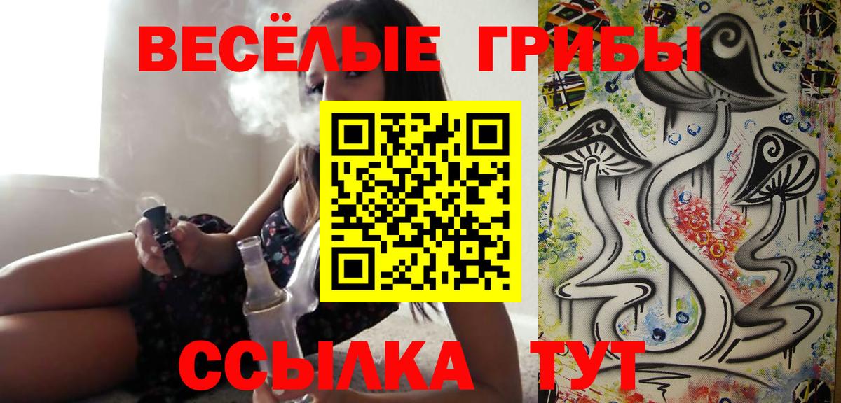 Галлюциногенные грибы Psilocybine cubensis  Псилоцибиновые грибы мицелий  Нарьян-Мар 