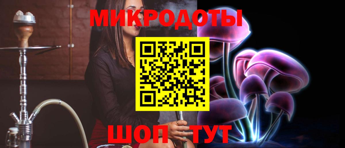 Галлюциногенные грибы Psilocybe Нарьян-Мар
